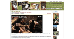 Desktop Screenshot of digital-tree.com